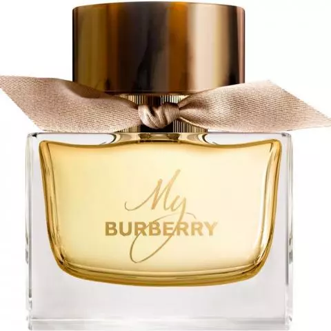 Knooppunt dempen weigeren Burberry My Burberry - Eau de Parfum kopen | ParfumWebshop.nl
