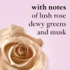 Philosophy Pure Grace Nude Rose - Eau de Toilette thumbnail