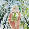 Marc Jacobs Daisy Wild - Eau de Parfum thumbnail