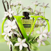 Valentino Born in Roma Donna Green Stravaganza - Eau de Parfum