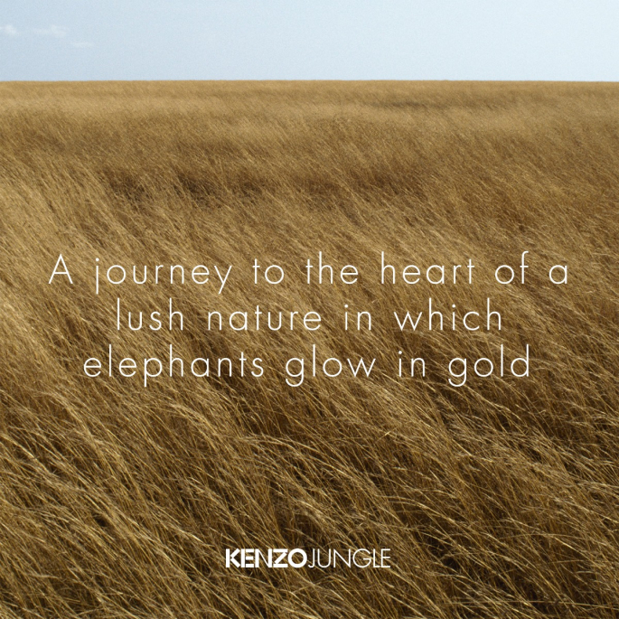 Kenzo Jungle - Eau de Parfum