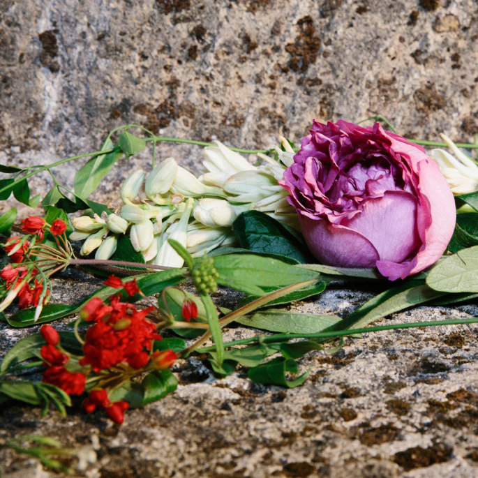 Gucci Bloom Ambrosia di Fiori - Eau de Parfum