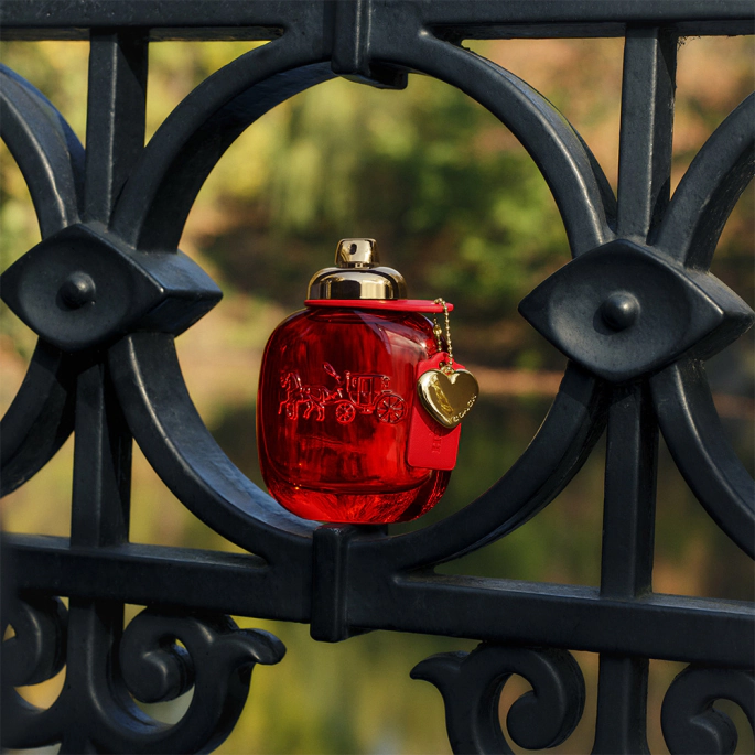Coach Love - Eau de Parfum