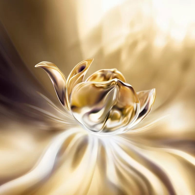 Lancôme Absolue - Longevity Soft Cream