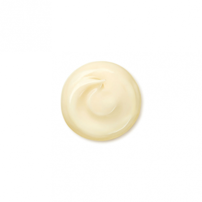 Shiseido Benefiance Wrinkle Smoothing - Cream Enriched 50 ml